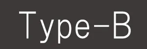 タイプB